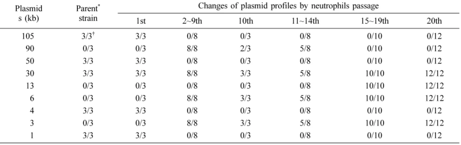 Table 3. Changes of plasmid profiles of Salmonella  Typhimurium isolates by passage in porcine neutrophils