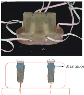 Fig. 2. Preparation of strain gauge model with acrylic resin. 2 implants at- at-tached with 8 strain gauges were inserted