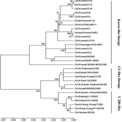 Fig. 4. Phylogenetic relationships of NA genes among AIV H9N2 strains. The Minimum Evolution method was used to construct trees, and the percentage of nucleotide differences is indicated by the scale