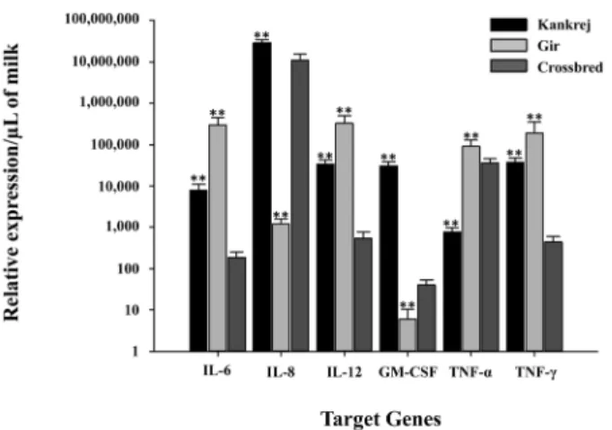 Fig. 2. SCC and total bacteria present in the milk of Kankrej, Gir and crossbred cattle.