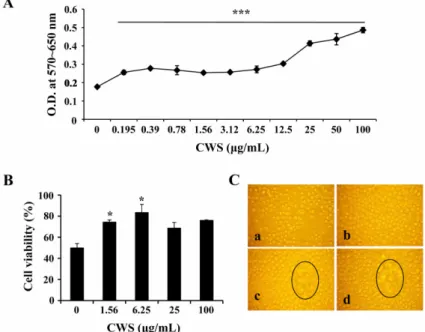 Fig. 1. Effect of cell wall skeleton of Mycobacterium bovis bacillus Calmette-Guerin (BCG-CWS) on the proliferation/