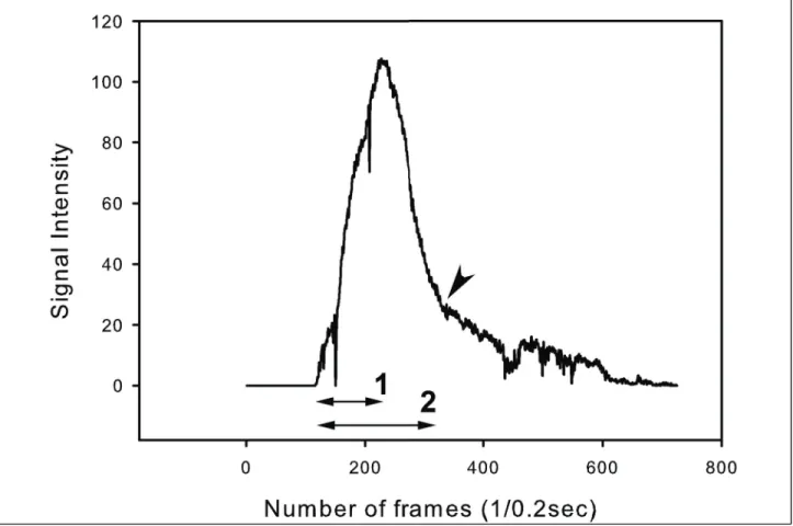 Fig. 3. Time profile of wave. 1: time to peak, 2: washout time. Arrowhead marks the point of transition of the curve