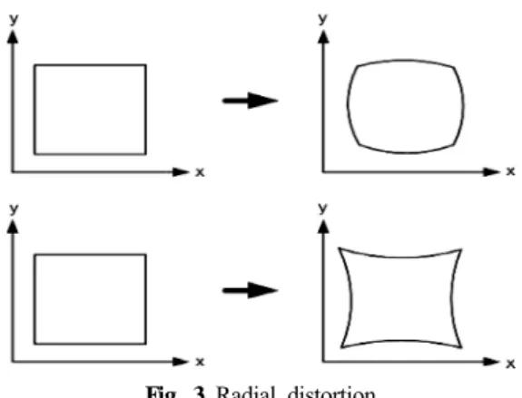 Fig. 3 Radial distortion