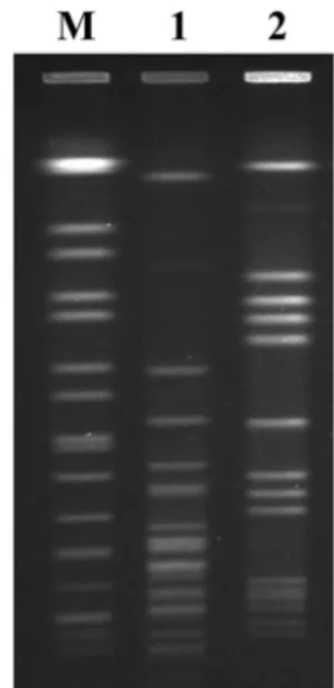 Table 4. Genetic characterization of 2 MRSA isolates from humans and animals