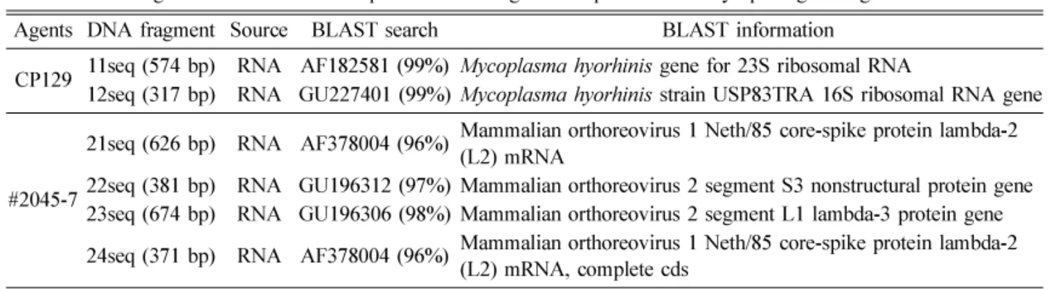 Fig. 4.  Confirmation and characterization of the identified  Mycoplasma  ( M. )  hyorhinis , CP129 strain