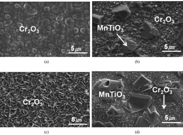 Fig. 5 Surface oxide morphologies of Alloy 617 oxidized in (a) steam for 24 h, (b) steam for 1000 h, (c) steam