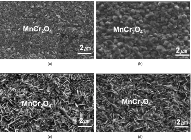 Fig. 6 Surface oxide morphologies of Haynes 230 oxidized in (a) steam for 24 h, (b) steam for 1000 h, (c)  steam＋20 vol.-% H 2  for 24 h, and (d) steam＋20 vol.-% H 2  for 1000 h 