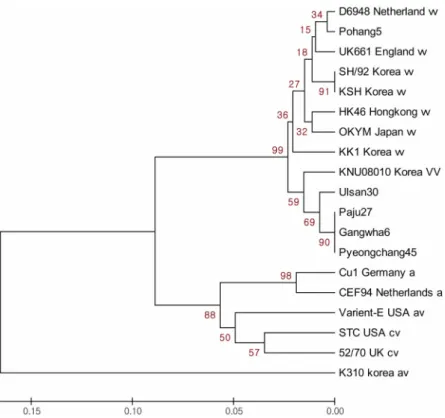 Fig. 2 . Phylogenetic tree based on the nucleotide sequences of variable region (nucleotides 571-1277) of the VP2 gene of 18 IBDV strains denoted from Table 1
