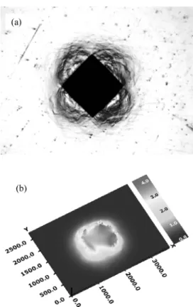 Fig. 5 Optical image of residual indentation mark (a)  and its 3D profile (b) for API X20