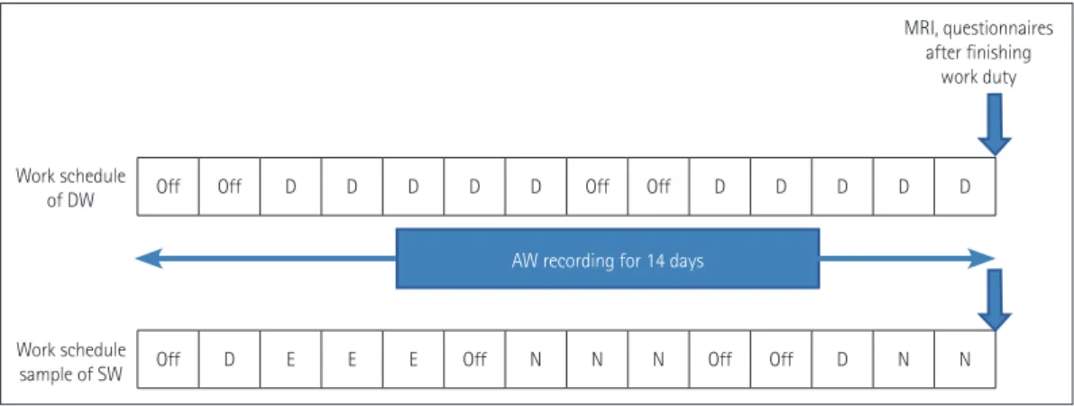 Fig. 1. Diagrammatic representation of work schedule and timeline. The work schedule of DW was constant while that of SW involved rotational  three shifts