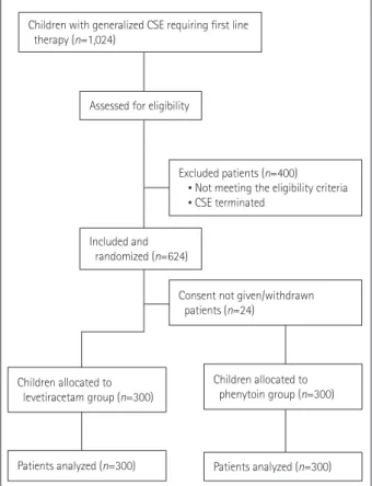 Fig. 1. Study flow chart. CSE: convulsive status epilepticus.