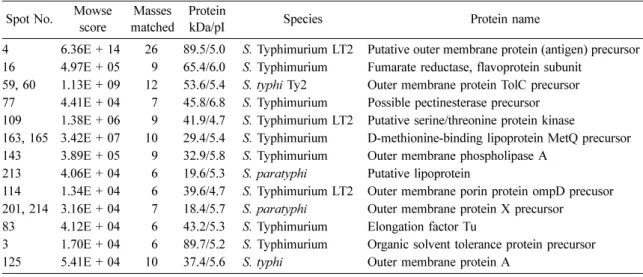 Fig. 2.  Comparison of DP 2-DE profiles from 6 different isolates of  S.  Typhimurium, SN72 (a), SN164 (b), SN282 (c), SN296 (d), SN309 (e) and SN310 (f)