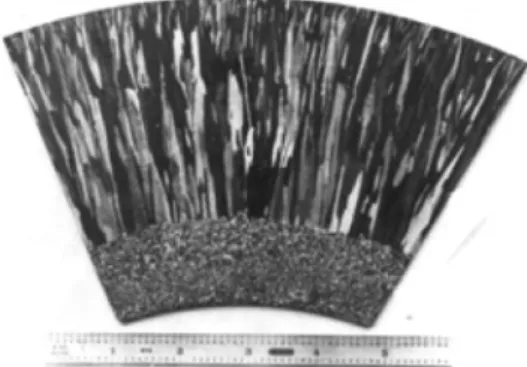 Fig. 1 Example of columnar grain structure in CASS  material 