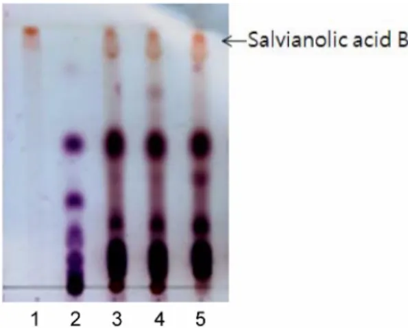 Fig. 2.  Thin-layer chromatogram of Danshen extracted by temperature controlled ultrasonography