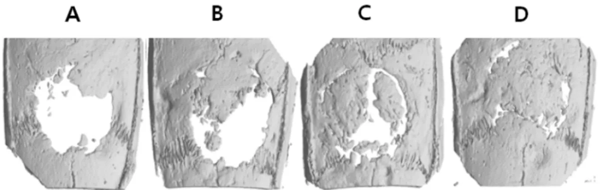 Fig. 3.  2D and 3D micro CT images of 8 mm critical-size calvarial defects at 8 weeks postsurgery (A; critical defect, B; collagen, C; collagen with water extract of Danshen (WED) local administration, D; collagen with WED local and oral administration)