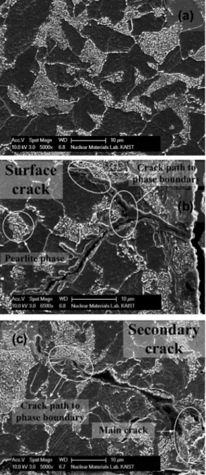 Fig. 8 SEM micrographs of SA508 Gr.1a - heat B of  (a) grain structure (b) surface crack (c) secondary  crack