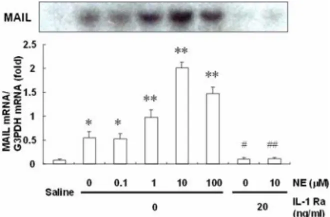 Fig. 5.  Effects of NE on IL-1 β  production in cultured non- non-parenchymal liver cells