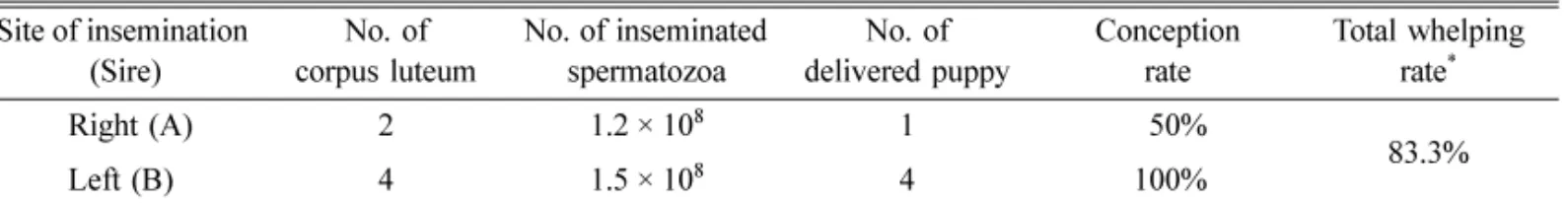 Table 1.  Conception result of artificial insemination with different frozen-thawed semen in each uterine horn Site of insemination 