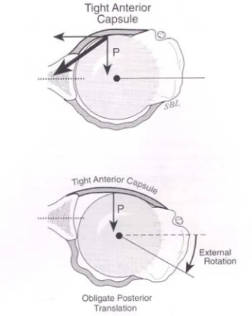 Fig. 12. Obligate translation