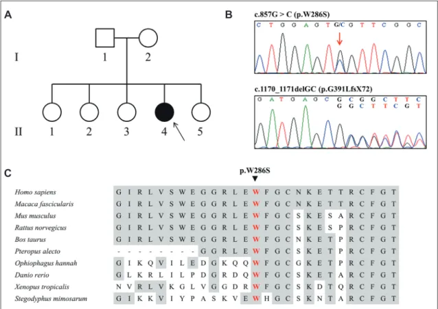 Fig. 1. Pedigree, sequencing chromatograms, and conservation profile of the patient. A: Pedigree of a Korean patient with compound heterozy- heterozy-gous FKRP mutations