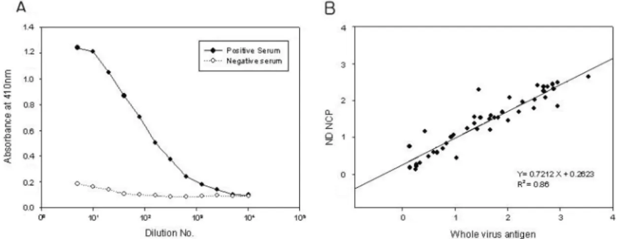 Table 1.  Purification efficiency from 1 l culture of transformed E. coli Volume  (ml) Protein conc