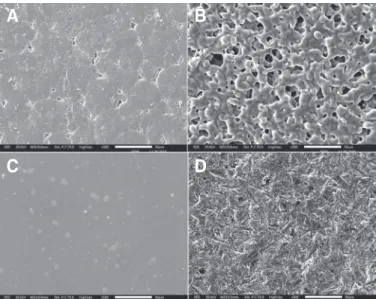 Fig. 1. Representative SEM image of different surface treatment on zirconia  specimen (× 500)