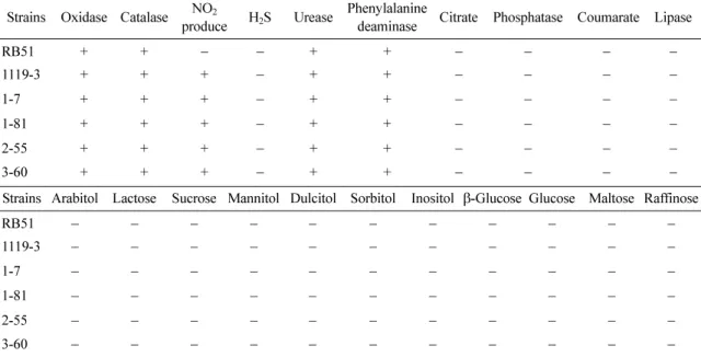 Table 1.  Biochemical characteristics of  Brucella  ( B. )  abortus  strains