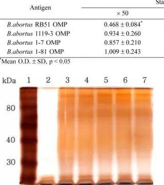 Table 3.  Optical density of a developed diagnostic method using  Brucella  ( B. )  abortus  OMPs depending on Standard tube agglutination test titer