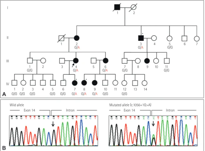 Fig. 1. A: Pedigree of an autosomal-dominant Bethlem myopathy family. Asterisks (*) indicate individuals whose DNA was used for exome se- se-quencing