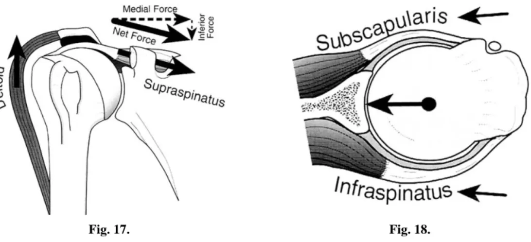 Fig. 17. Fig. 18.