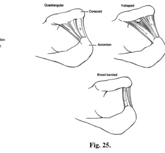 Fig. 24. Fig. 25.