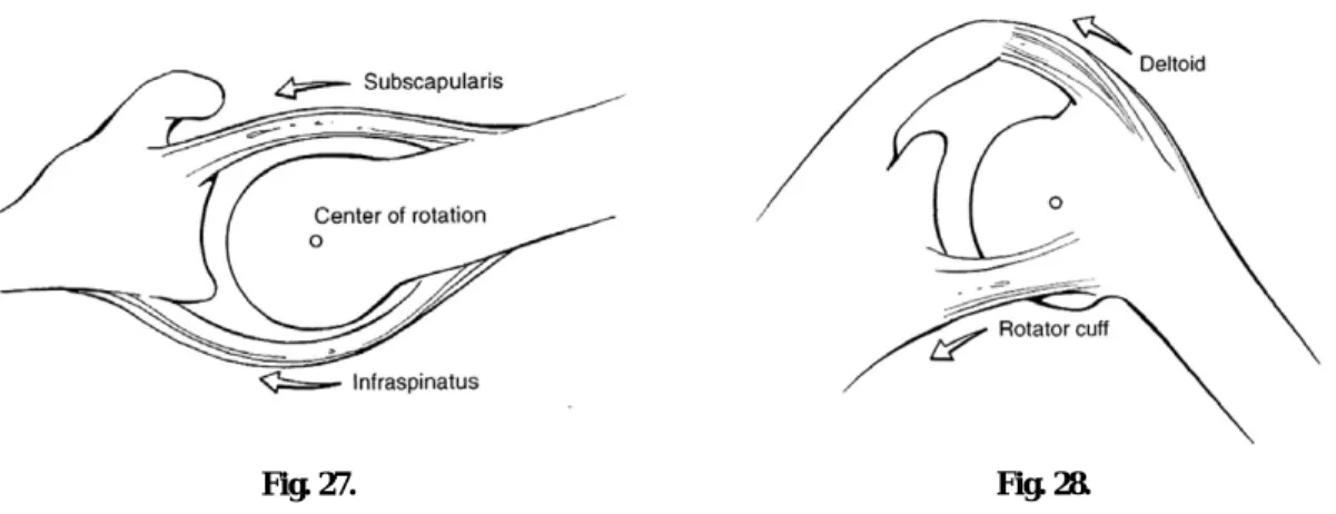 Fig. 27. Fig. 28.