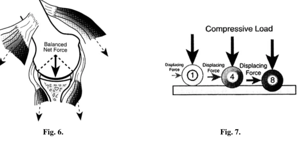 Fig. 6. Fig. 7.