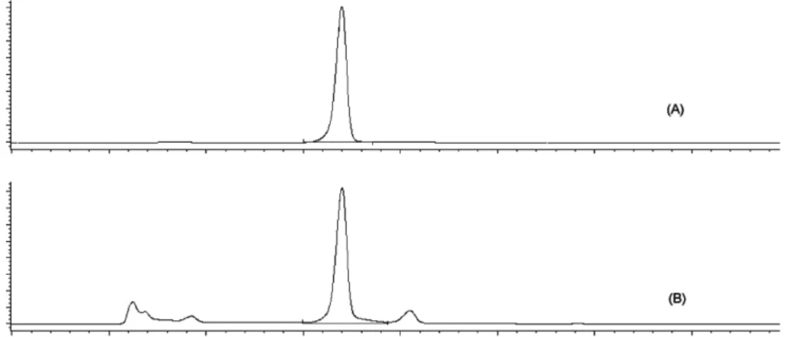 Fig. 5.  HPLC chromatogram of the eugenol standard at 1 µg/ml (A) and the clove extract (B).