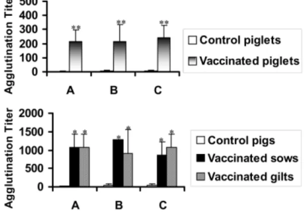 Fig. 1.  Anti-  B. bronchiseptica  antibody titers in serum of the experimental pigs at 6 week post immunization by MAT