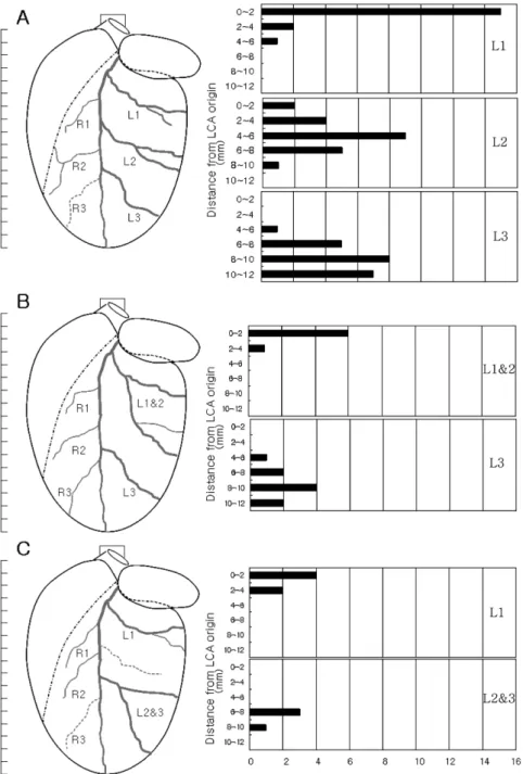 Fig. 2.  The types (type I: A, type II: B, and type III: C) of branching patterns (left) and corresponding graphs of frequency distribution of LV branches of left coronary artery (right) in SD male rats