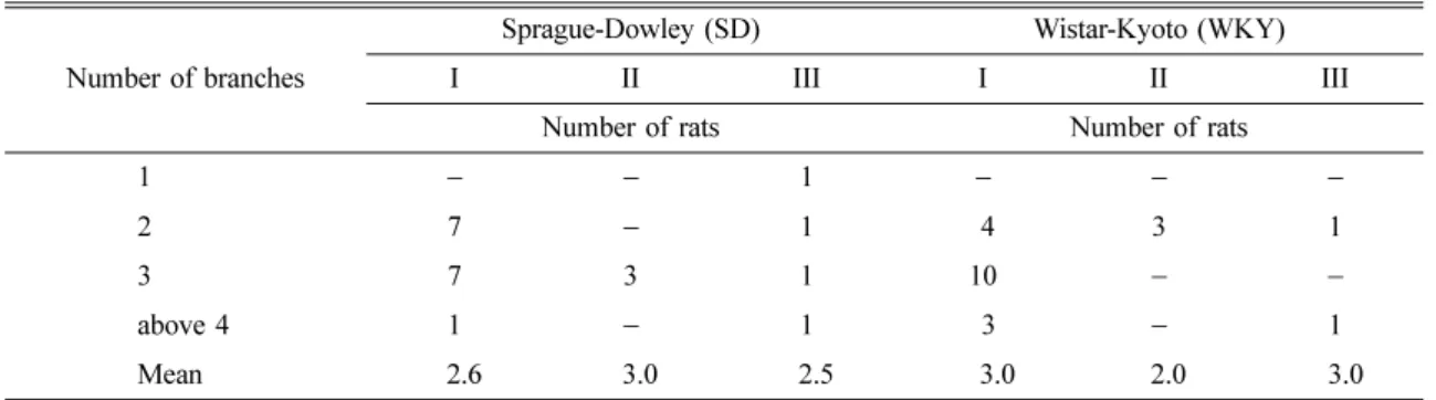 Table 4.  The number of right ventricular branches of LCA on its types in SD and WKY male rats Number of branches