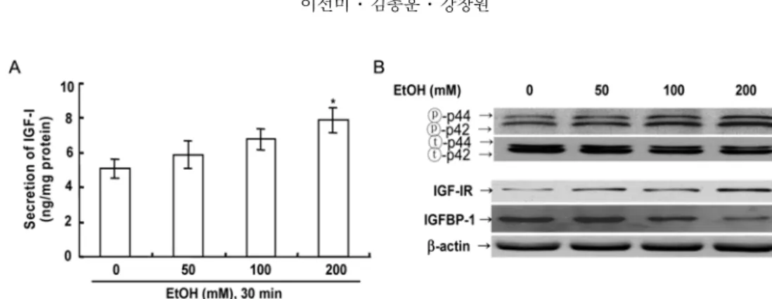 Fig. 2.  Effects of different concentrations of ethanol on secretion of IGF-I secretion (A), p42/44 activity, IGF-IR activity and IGFBP-1 secretion (B) in primary cultured rat hepatocytes