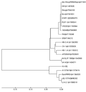 Fig. 4.  Phylogenetic analysis of the nucleotide sequence of a portion of the polymerase gene (ORF1b) of PRRSV using computer programs (Molecular Evolutionary Genetics Analysis, version 3.0; MEGA3 1993~2005).