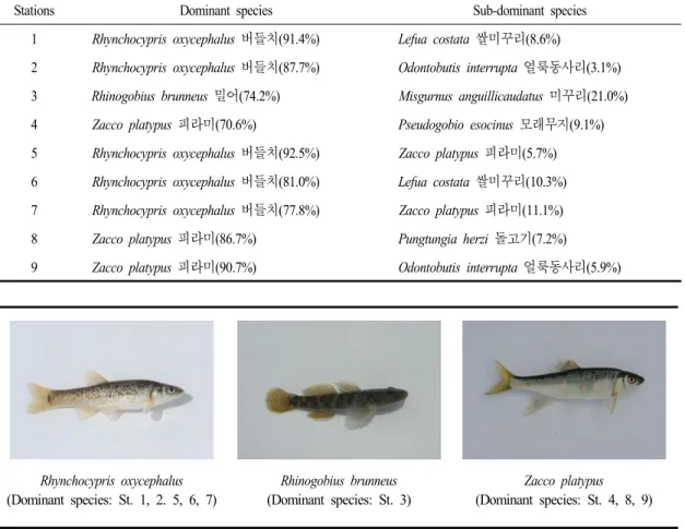 Table  3.  Dominant  and  sub-dominant  species  at  each  surveyed  stations 