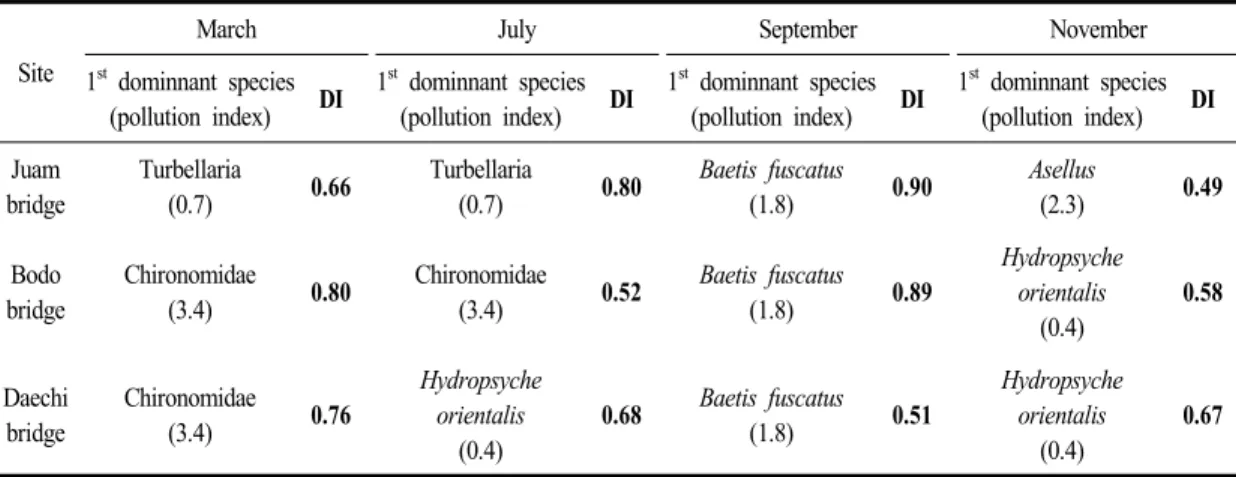 Fig.  6.  Hydropsyche  orientalis  (Daechi  bridge,  Yangjaecheon).