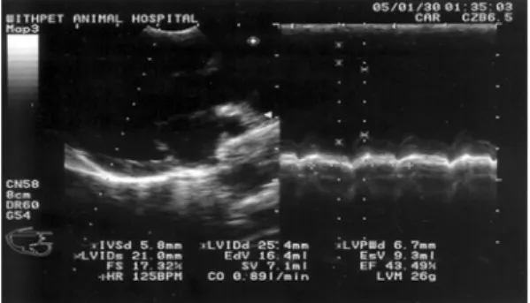 Fig. 4 . Ultrasonographic finding of 10 days after needle acupuncture.