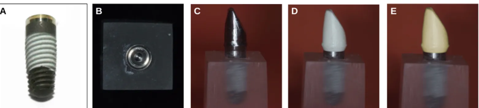 Fig. 2. Cross-sectional view of abutment-implant assemblies. (A) Titanium abutment, (B) Prefabricated zirconia abutment, (C) Customized zirconia abutment 