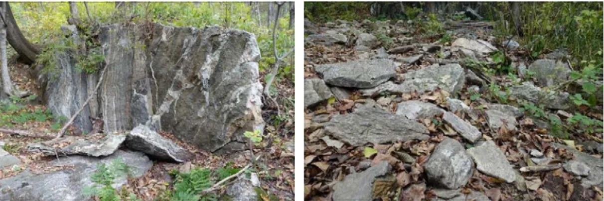 Fig. 3. Outcrop of gneiss. Fig. 4. Rock wastes of gneiss. 토양포행에 의한 토양 유실이 진행되고 있었으며,  수목 뿌리의 노출과 수목이 쓰러져 고사한 모습이자주 관찰되었다