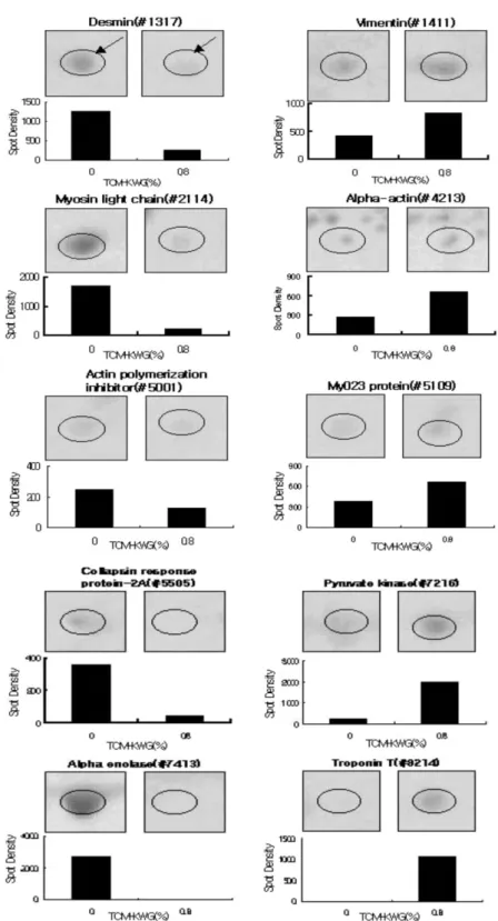 Fig. 2.  Expression profiles of 10 spots between control groups and TCM-KWG treatment groups in  fibularis longus muscle and  superficial pectoral muscle 