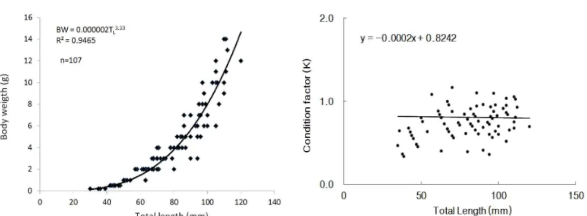 Fig. 3. Length-weight relationship and condition factor for R. oxycephalus sampled in each surveyed stations.