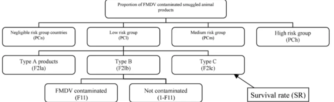 Fig. 1.  Schematic diagram of estimating the proportion of FMDV-contaminated, smuggled animal products upon entry in each level of risk