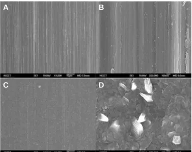 Fig. 2. Field emission scanning electron microscopic images of the smooth tita- tita-nium (ST) and thermally oxidized ST (ST-TO) groups at various magnifications.
