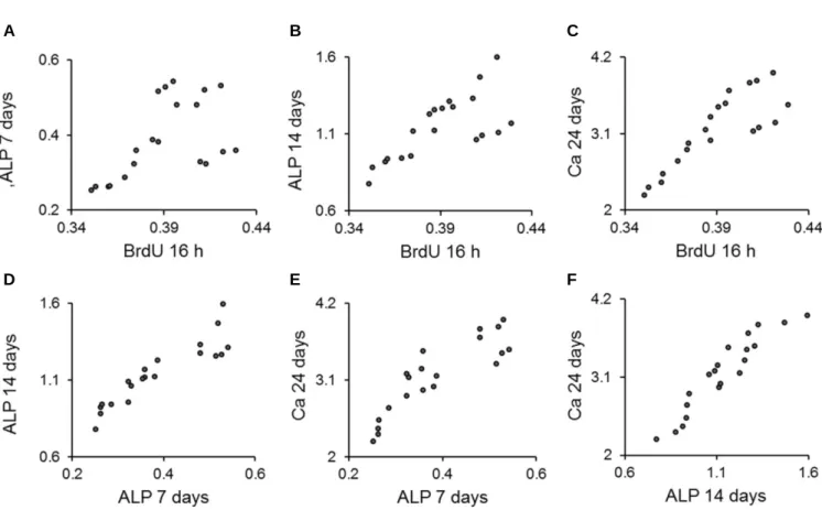Table 4. Pearson correlation coefficients between the results of the bromodeoxyuridine assay, alkaline phosphatase activity and extracellular calcium deposition of human periodontal ligament cells