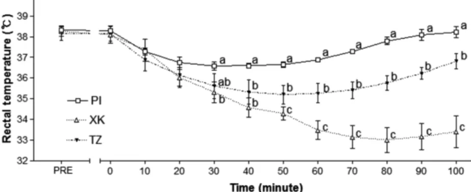 Fig. 1.  Comparison of rectal temperature before, during and after sedation for PI group, XK group and TZ group.